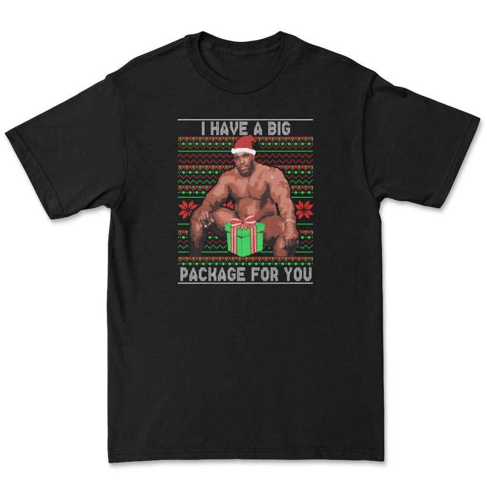 I Have A Big Package For You TEE